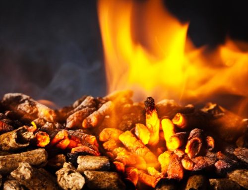 Grill Masters: Get the Best Wood Pellets for Z Grills!