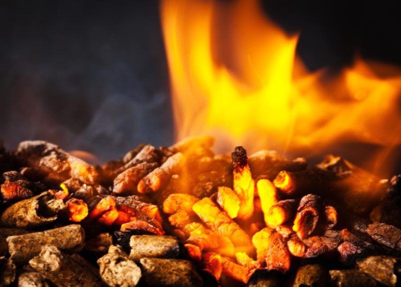 Grill Masters Get the Best Wood Pellets for Z Grills!